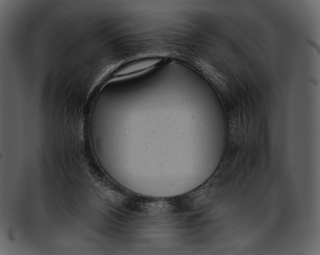 X0000096940112200802291042