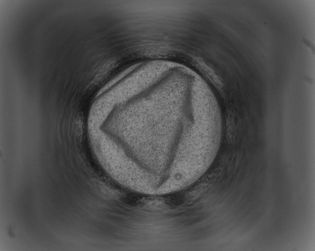 X0000096940113200802291042