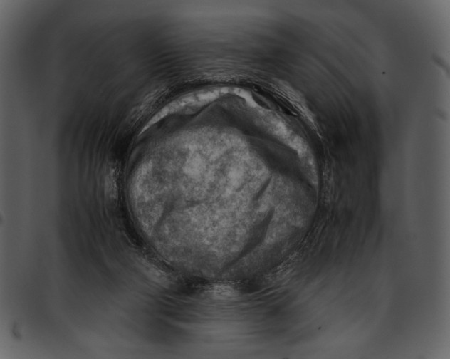 X0000096940114200802291042