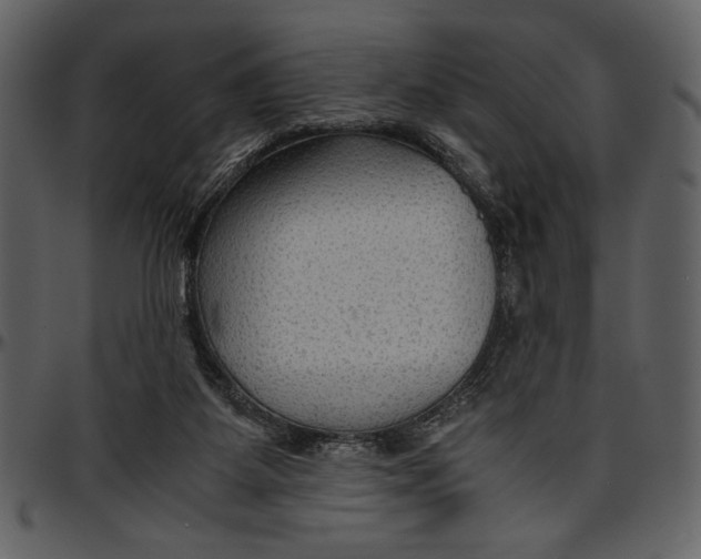 X0000096940115200802291042