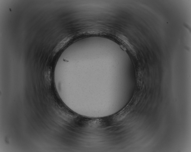 X0000096940116200802291042