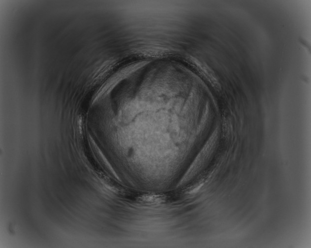 X0000096940117200802291042