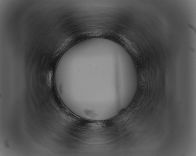 X0000096940118200802291042