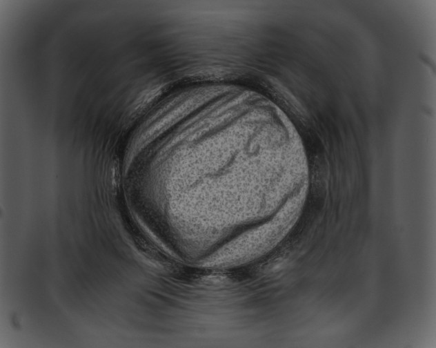 X0000096940119200802291042