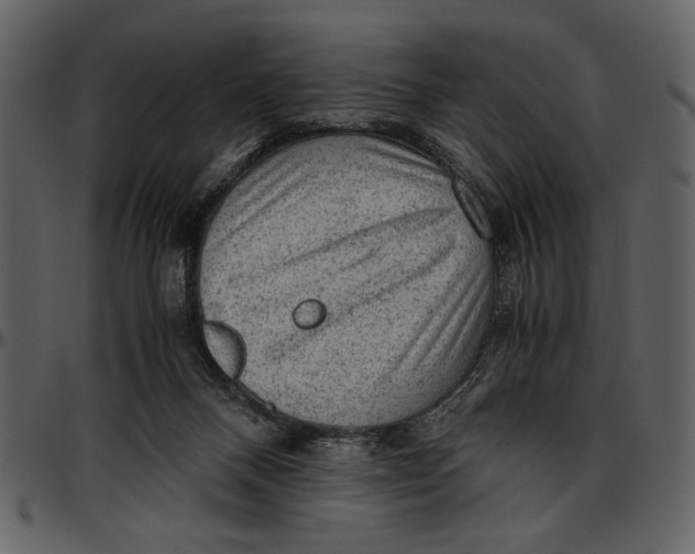 X0000096940120200802291042