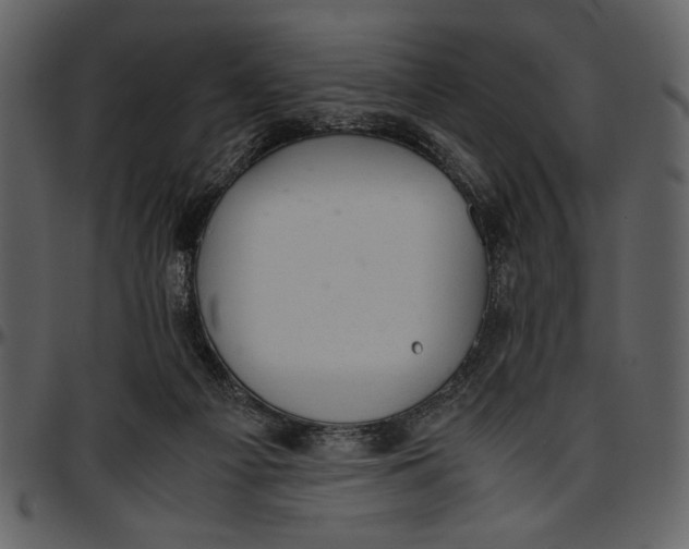 X0000096940121200802291042