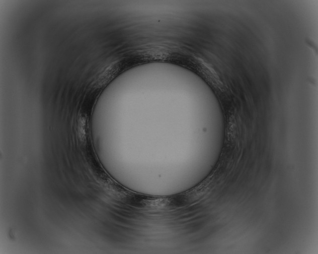 X0000096940122200802291042