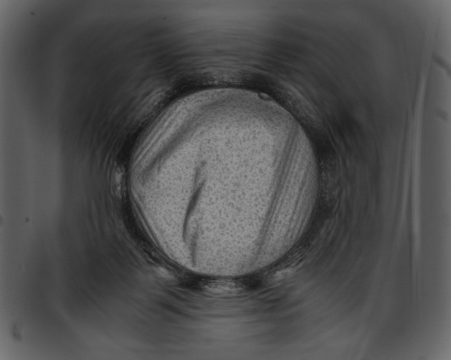 X0000096940123200802291042