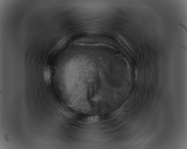 X0000096940124200802291042