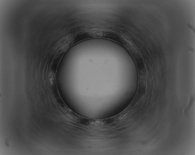 X0000096940125200802291042