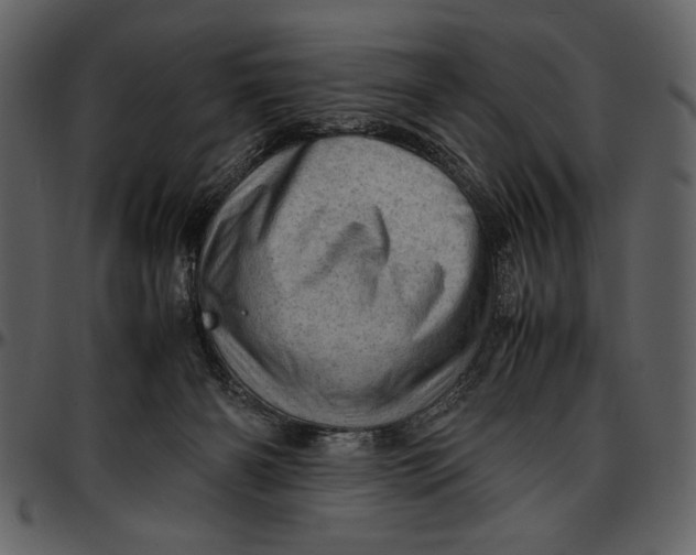 X0000096940126200802291042