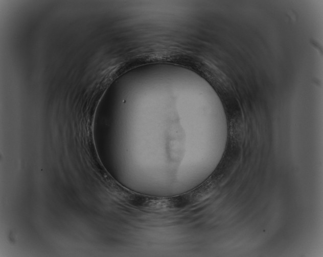 X0000096940127200802291042