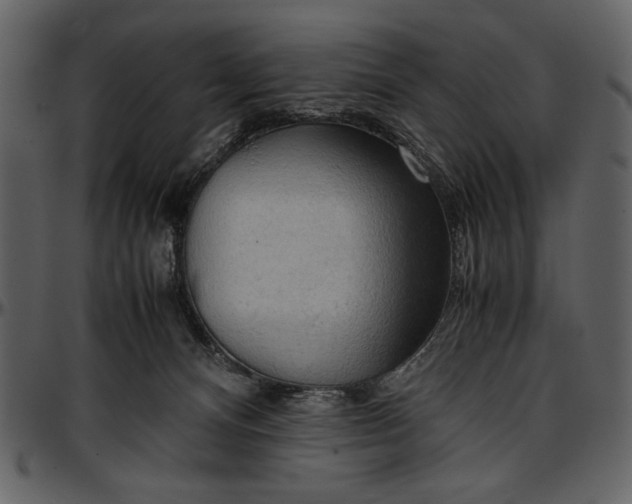 X0000096940128200802291042