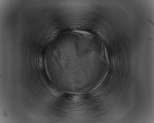 X0000096940130200802291042