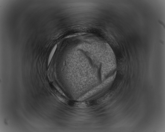 X0000096940131200802291042