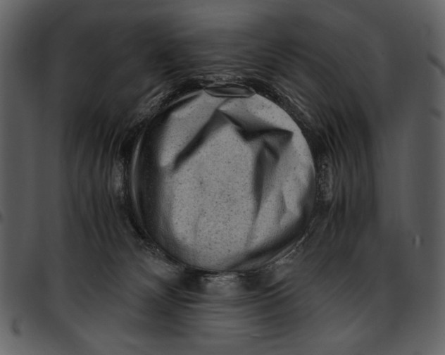 X0000096940132200802291042