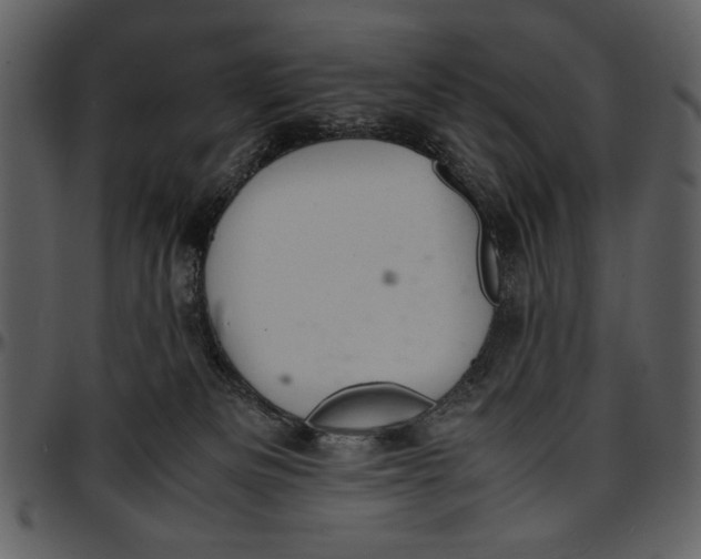 X0000096940133200802291042