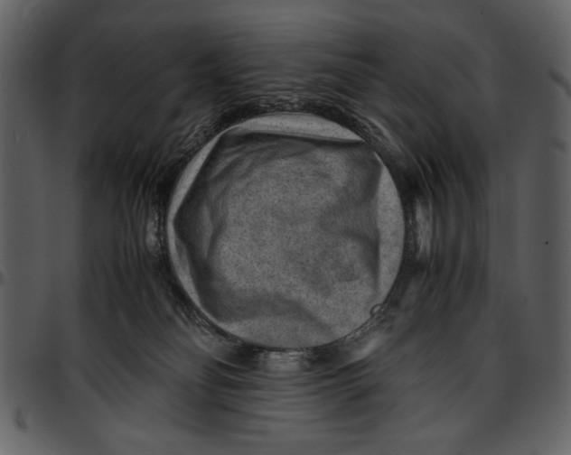 X0000096940134200802291042