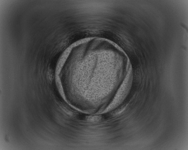 X0000096940135200802291042