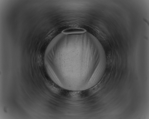 X0000096940136200802291042