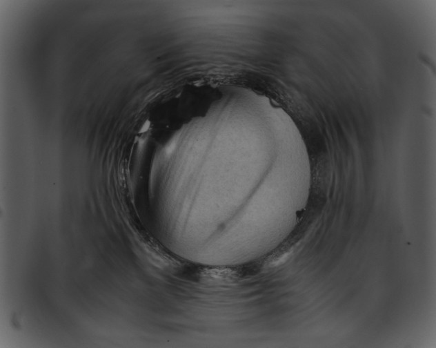 X0000096940137200802291042