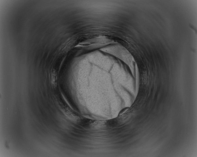 X0000096940138200802291042