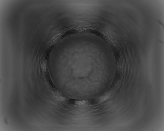 X0000096940139200802291042