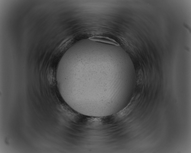 X0000096940140200802291042