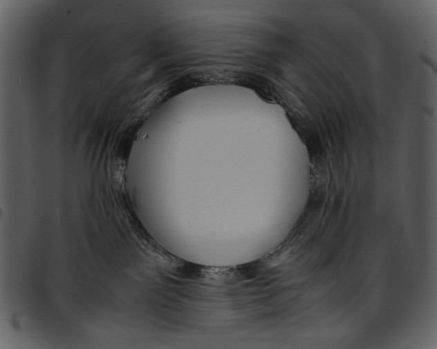 X0000096940141200802291042