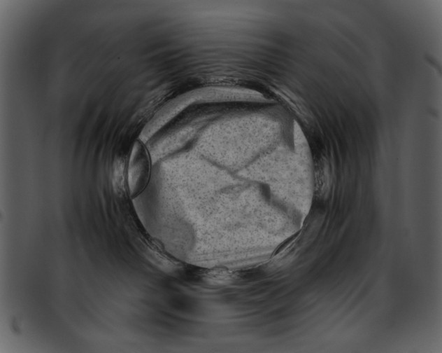 X0000096940142200802291042