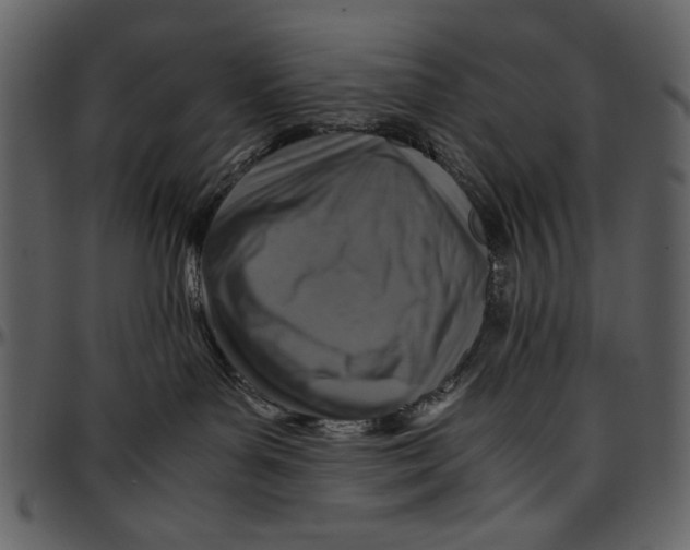 X0000096940143200802291042