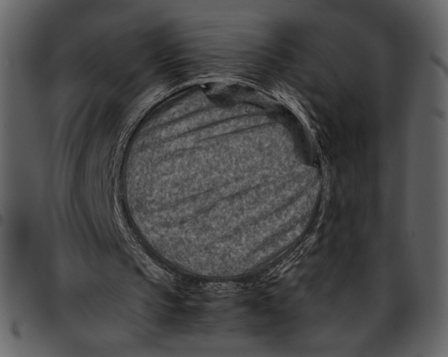 X0000096940145200802291041