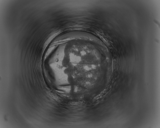 X0000096940147200802291041