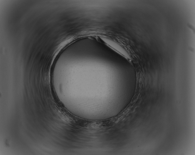 X0000096940148200802291041