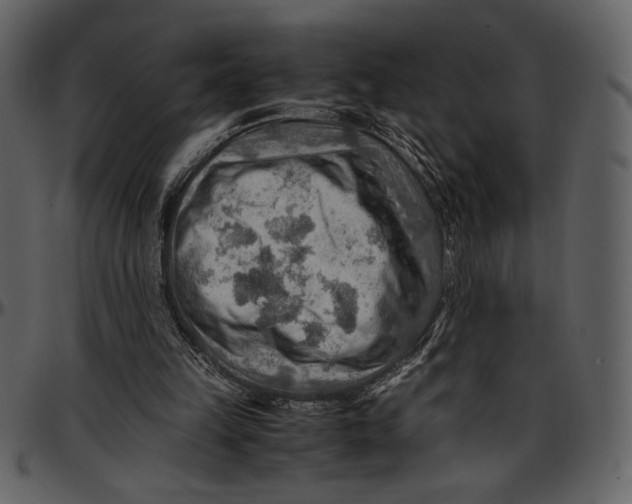 X0000096940149200802291041