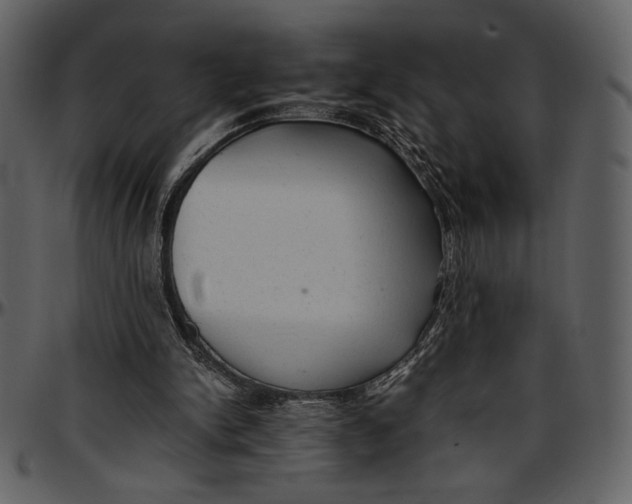 X0000096940150200802291041