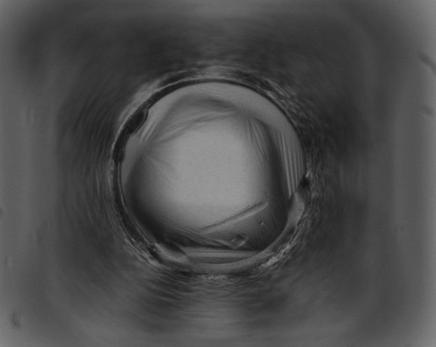 X0000096940152200802291041