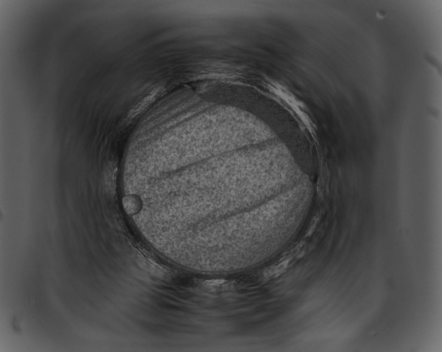 X0000096940153200802291041