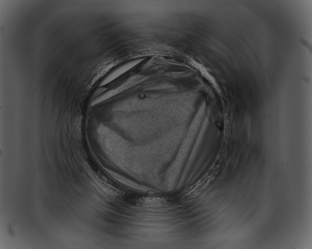 X0000096940154200802291041