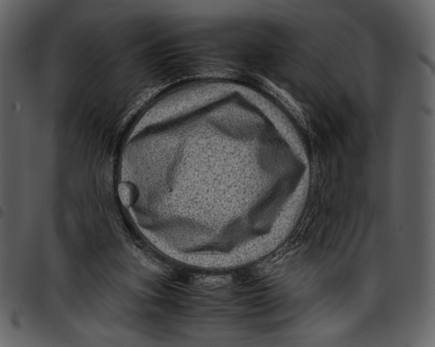 X0000096940155200802291041