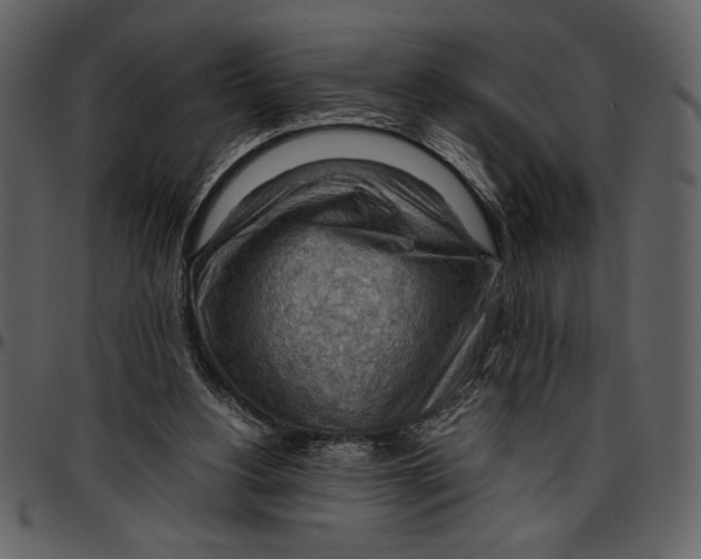 X0000096940156200802291041