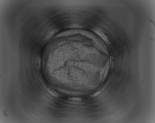 X0000096940157200802291041