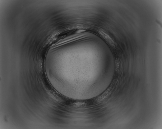 X0000096940158200802291041