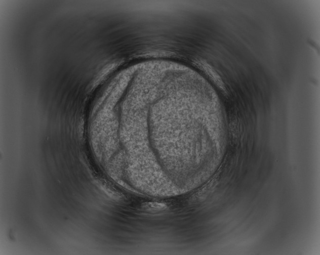 X0000096940159200802291041