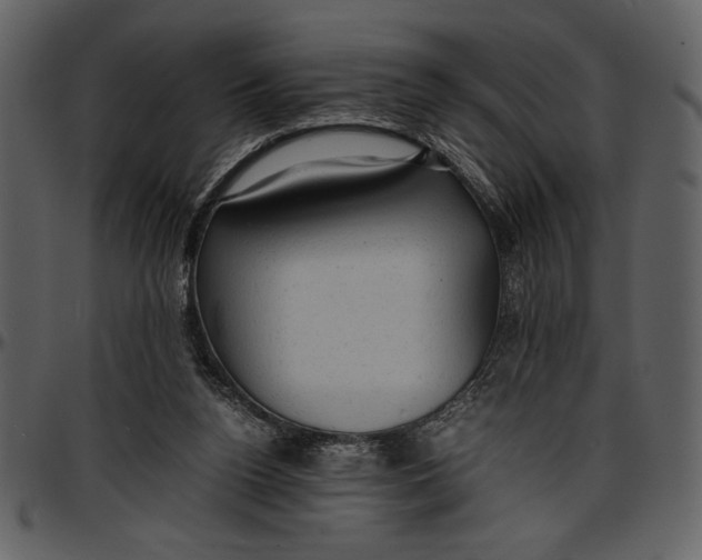 X0000096940160200802291041