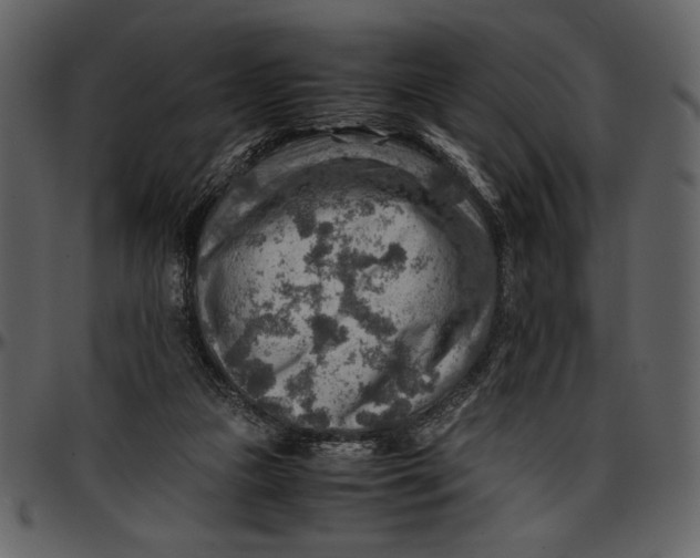 X0000096940161200802291041