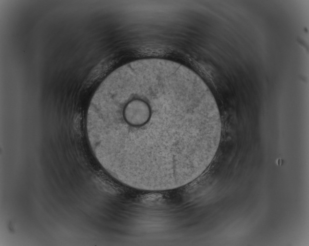 X0000096940162200802291041