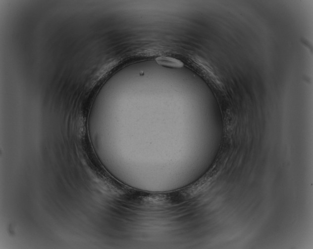 X0000096940164200802291041