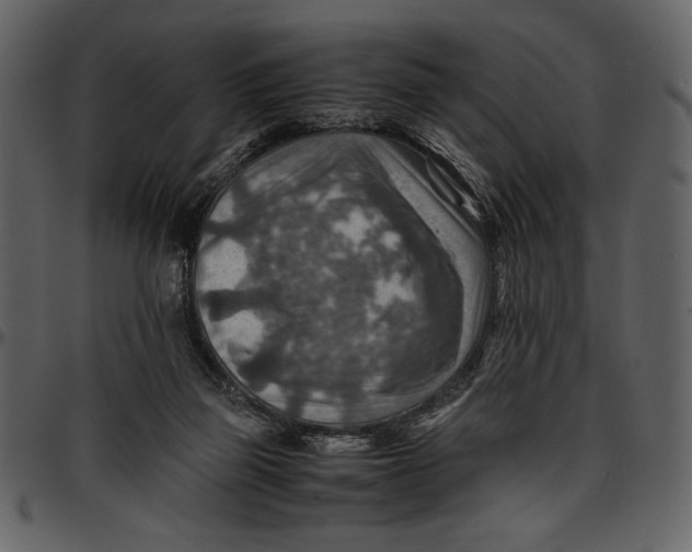 X0000096940165200802291041