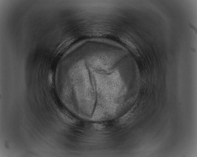 X0000096940166200802291041